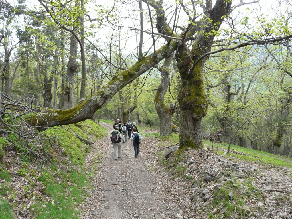 Ardeche, 02-05-09, 14-56.jpg
